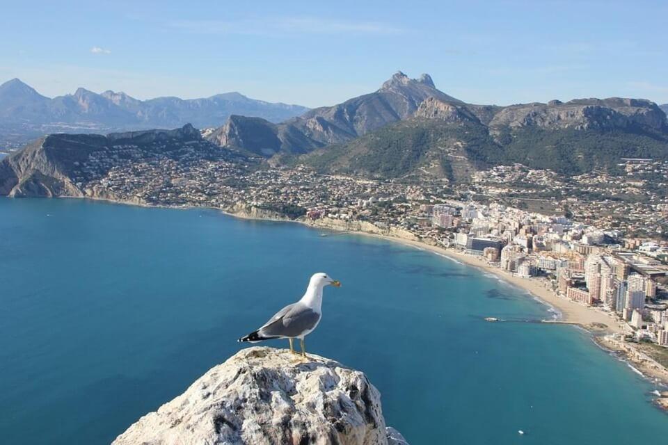 Apartamento Arenal 3 - PlusHolidays Calpe Esterno foto